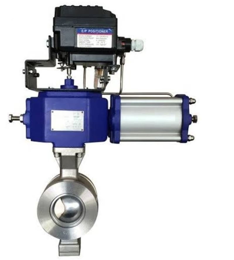 Segment Ball Valve
